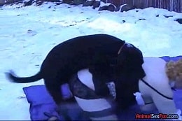 Горячее порно на снегу с собакой