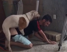 Пес трахает турецкого мужика в жопу на стройке