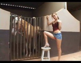 Секс лошади с молодой девушкой